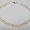 
	Nahrdelník riečna perla
